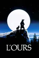 Affiche Audiences TV : L'ours