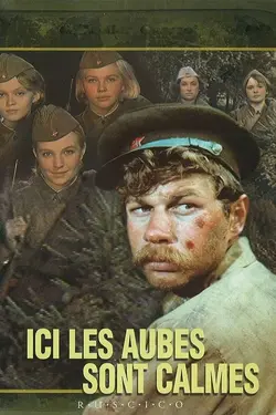 Affiche La 359e section