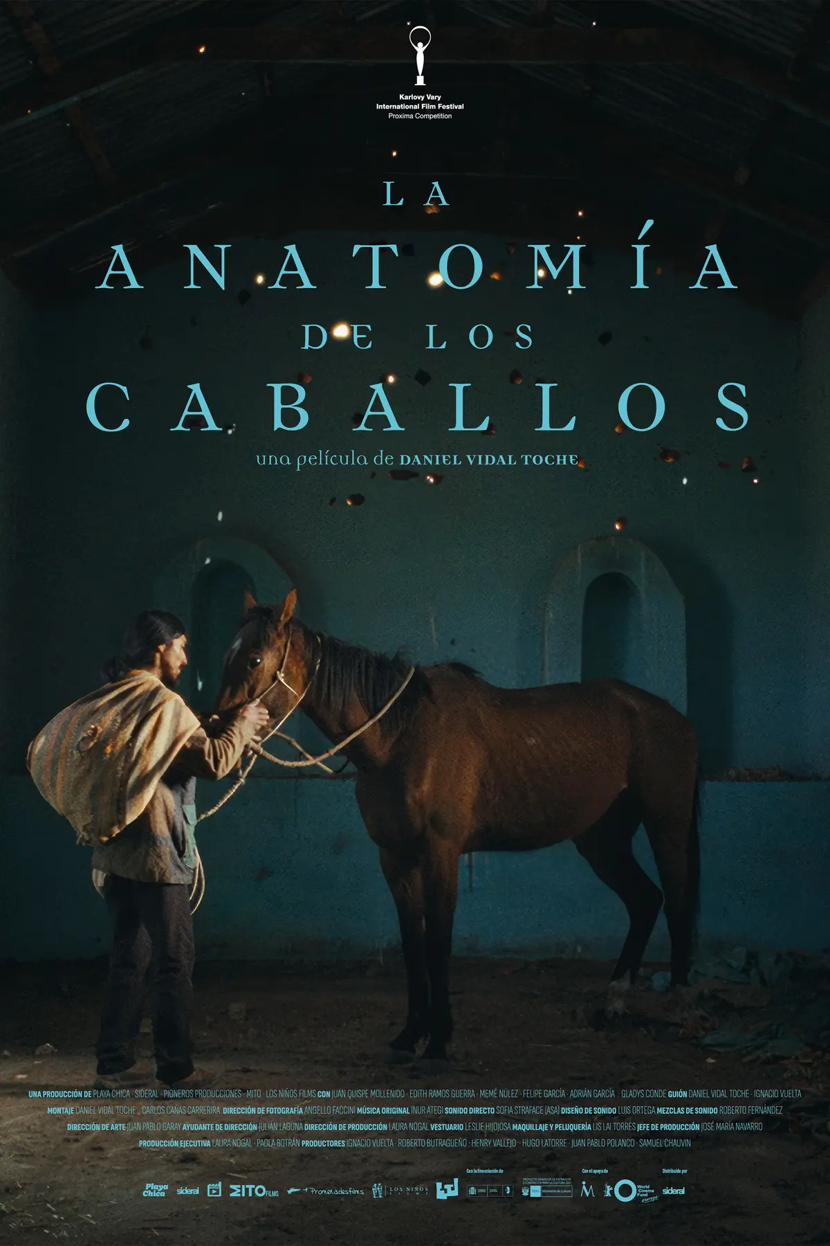 La anatomía de los caballos