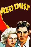 Affiche La belle de Saïgon