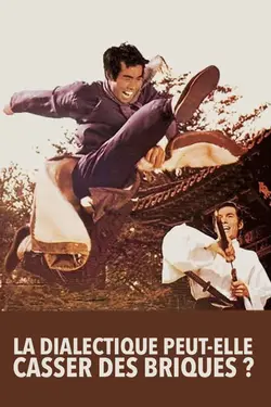 La dialectique peut-elle casser des briques?