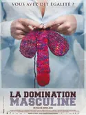 Affiche La domination masculine en streaming
