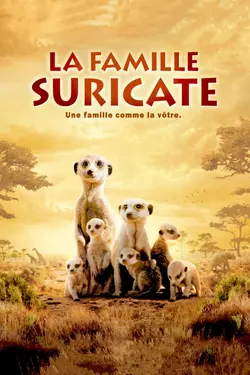 Affiche La famille Suricate