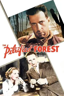 Affiche La forêt pétrifiée
