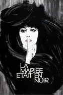 Affiche La mariée était en noir en streaming