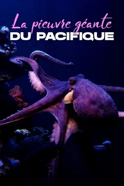 La Pieuvre géante du Pacifique