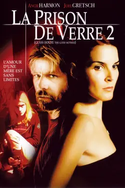 Affiche La prison de verre 2