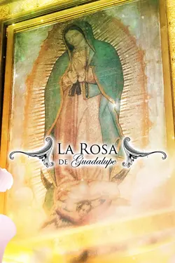 La rosa de Guadalupe S14E1557 Épisode 1557