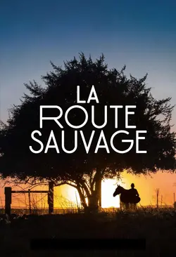 Affiche La route sauvage