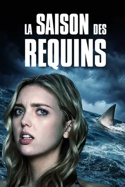La saison des requins