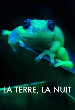 La Terre, la nuit