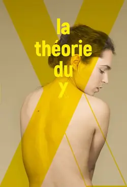 Affiche La théorie du Y