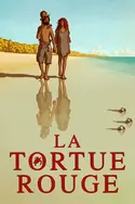 Affiche La tortue rouge en streaming