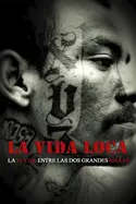 Affiche La Vida Loca en streaming