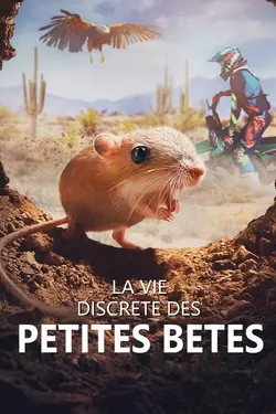 La vie discrète des petites bêtes S01E04 Texas