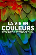 Affiche La vie en couleurs avec David Attenborough