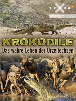 La Vie privée des crocodiles