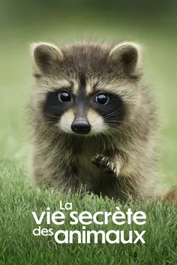 La vie secrète des animaux S01E05 Se nourrir