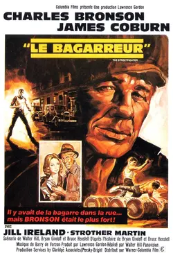 Affiche Le bagarreur