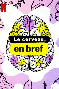 Le cerveau, en bref S02E04 Épisode 4