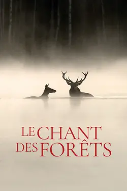 Affiche Le Chant des forêts