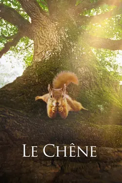 Le chêne