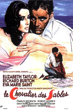Affiche Le chevalier des sables