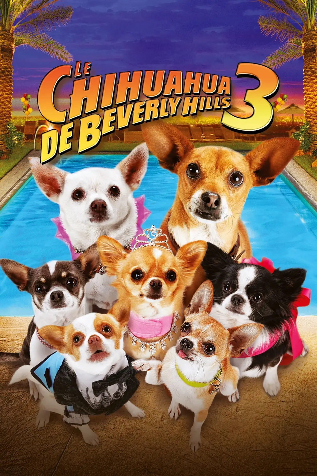Le Chihuahua de Beverly Hills 3 : Viva La Fiesta !