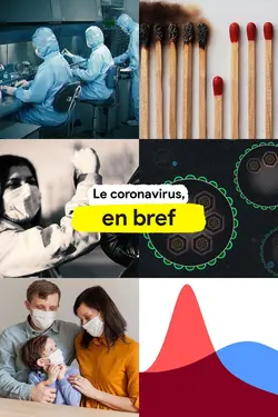 Le coronavirus, en bref