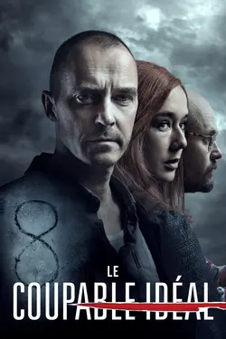 Affiche Le coupable idéal