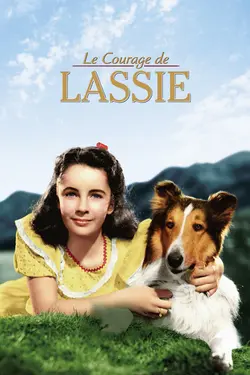 Affiche Le courage de Lassie