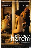 Affiche Le dernier harem