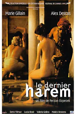 Affiche Le dernier harem