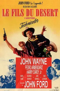 Affiche Le fils du désert