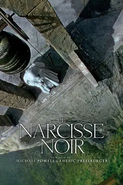 Affiche Le narcisse noir