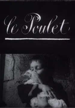 Affiche Le poulet
