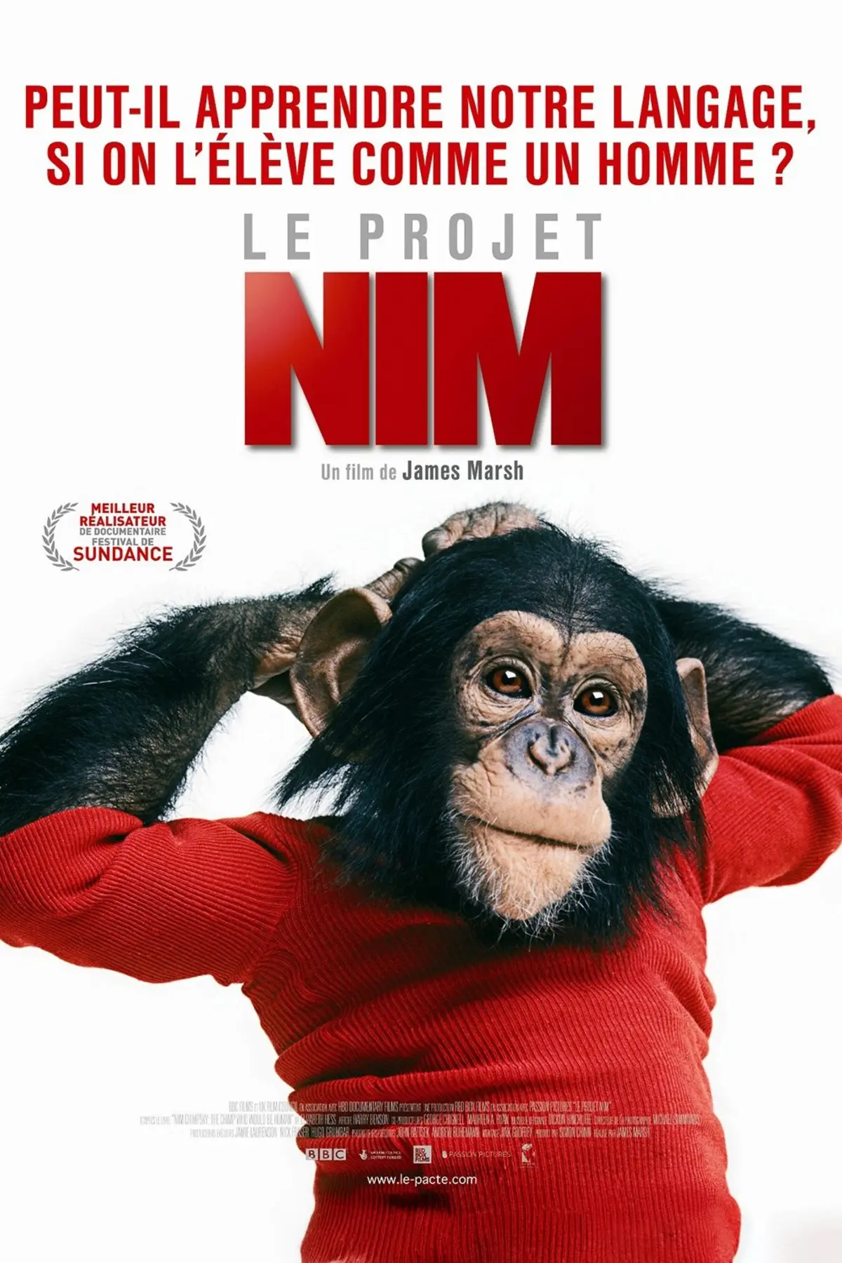 Le Projet Nim