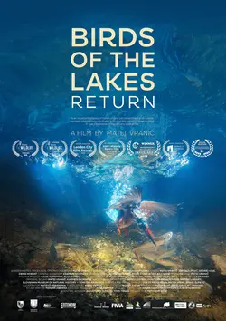 Affiche Le retour des oiseaux