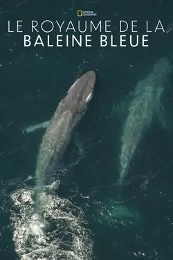 Affiche Le royaume de la baleine bleue