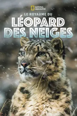 Affiche Le royaume glacé de la panthère des neiges