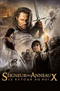 Affiche Le seigneur des anneaux : le retour du roi