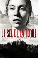 Affiche Le sel de la terre