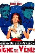 Affiche Le signe de Vénus
