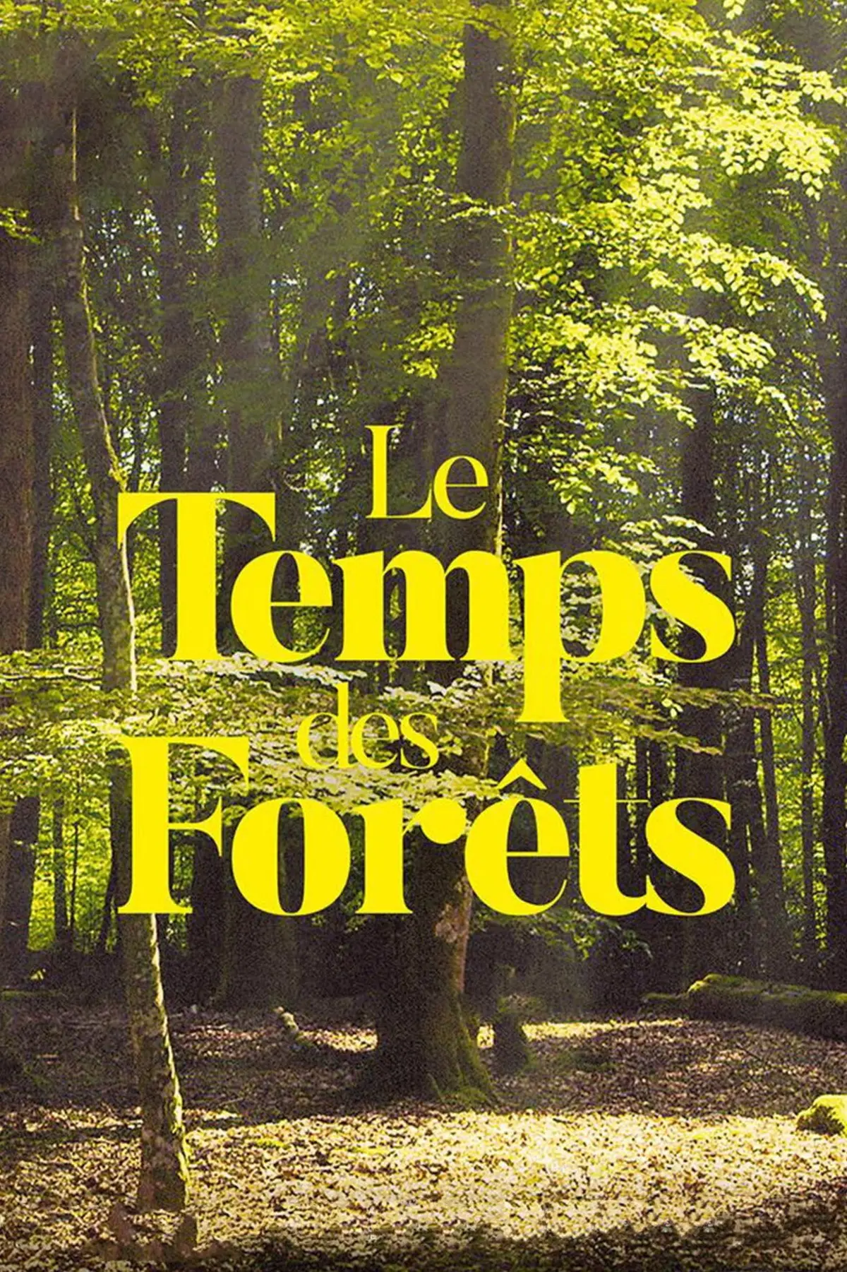 Le temps des forêts