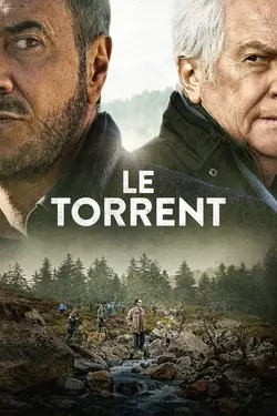 Affiche Le torrent