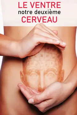 Le ventre, notre deuxième cerveau