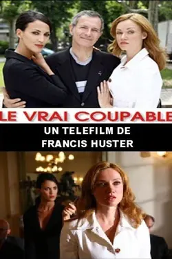 Affiche Le vrai coupable
