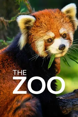 Affiche Le zoo du Bronx  Chiens errants