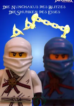 Lego Ninjago (VF) S03E01 L'île inconnue