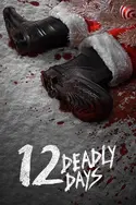 Affiche Les 12 jours sanglants de Noël